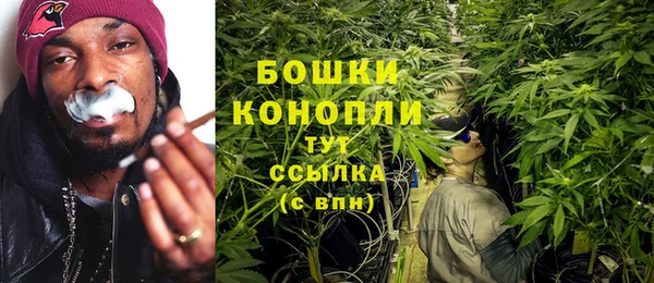 герыч Арсеньев