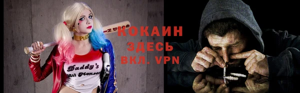 мдпв Приозерск