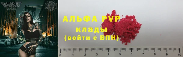 гидра Алексеевка