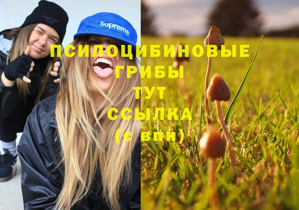 дурь Алексин