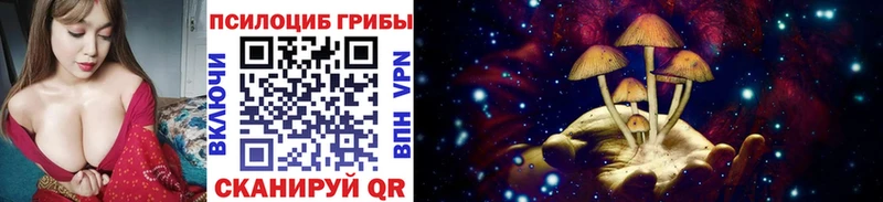 мориарти клад  Аша  Галлюциногенные грибы ЛСД 